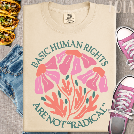 Basic Human Rights are Not "Radical" Tee