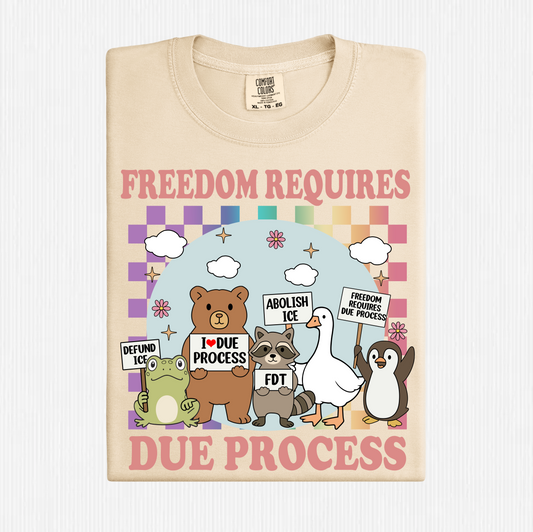 Freedom Requires Due Process